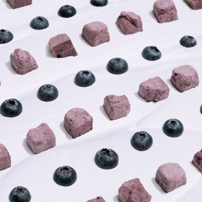 Wagging Bum🐱🐶Freeze Dried Blueberry Yogurt 2oz