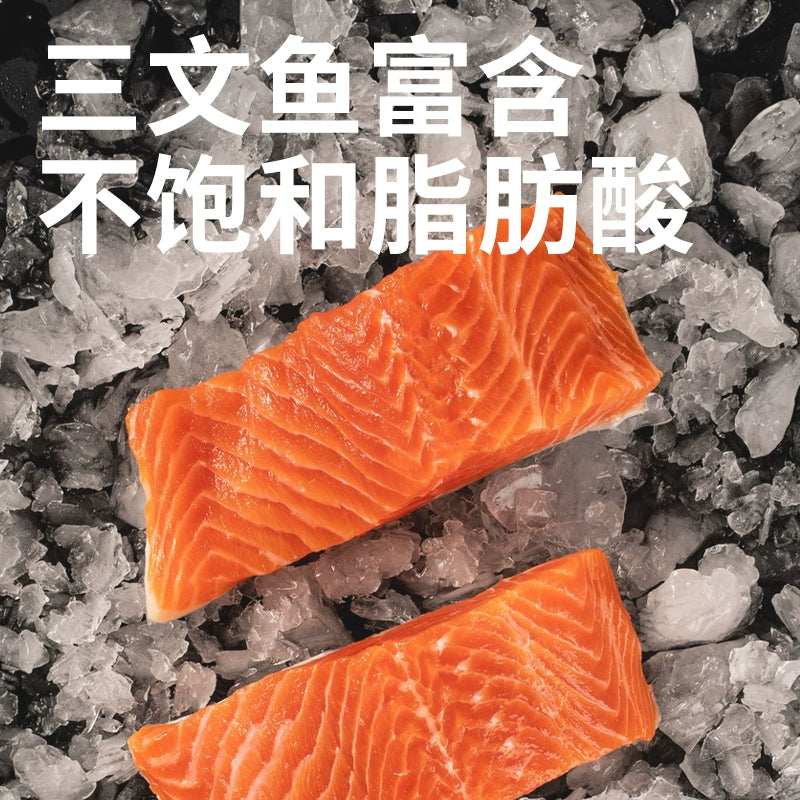 3M5🐱🐶Freeze Dried Salmon Fillet 100g