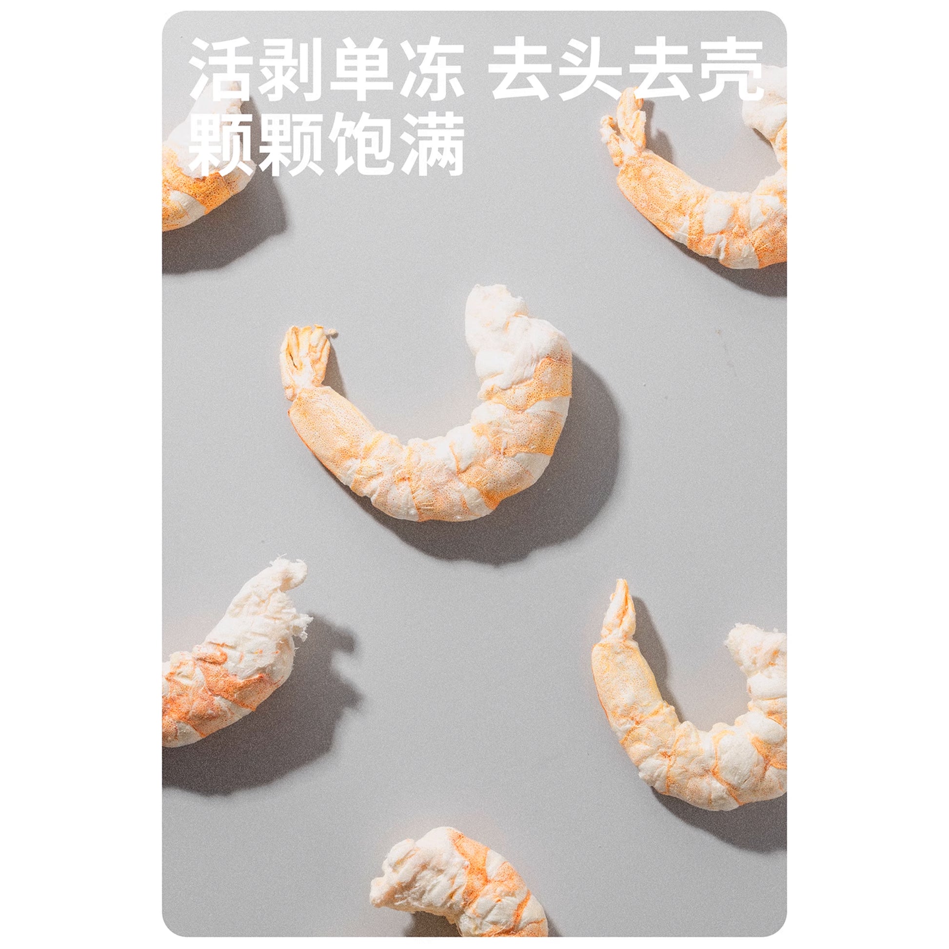 3M5🐱🐶Freeze Dried 10cm Big Shrimp 12g