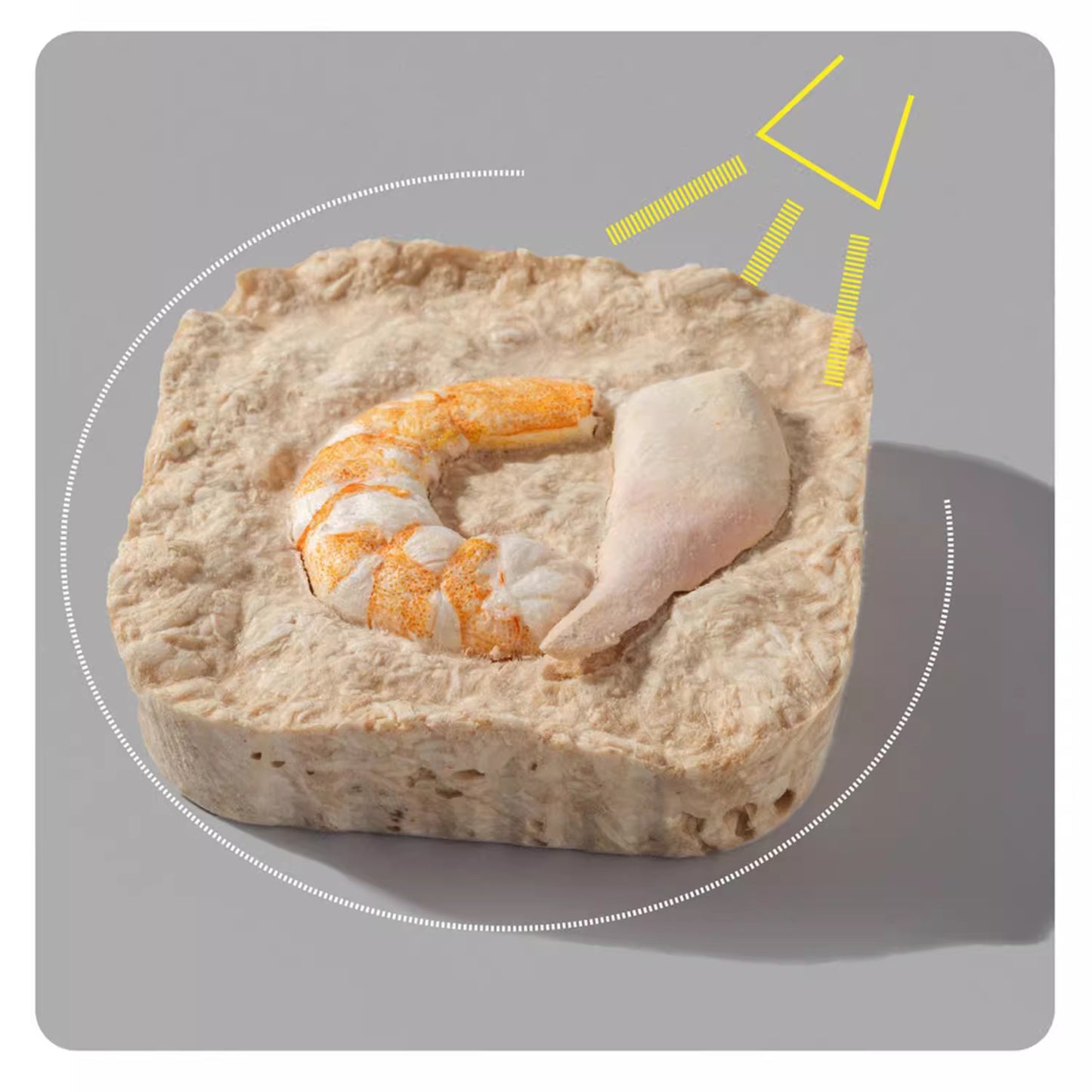 3M5🐱🐶Freeze Dried Scone Chicken Shrimp & Arctic Surf Clam 24g