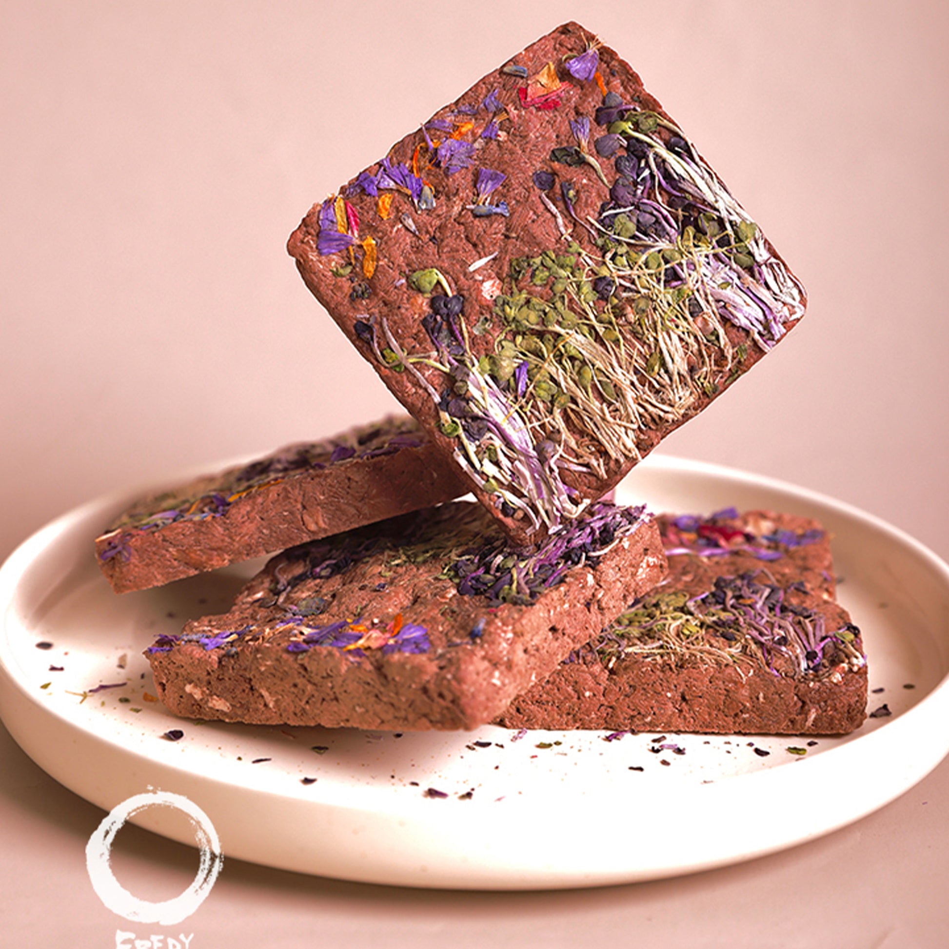 Fredy🐱🐶Freeze Dried Sprouts Horse Brick 1.25oz