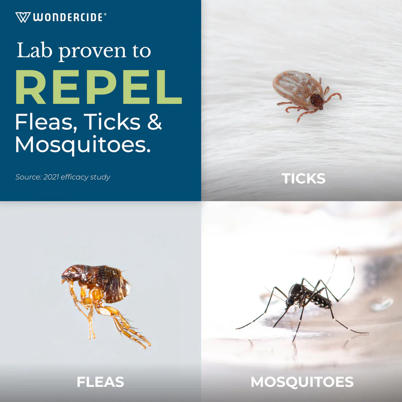 Wondercide🐱🐶Flea & Tick Collar With Natural Essential Oils