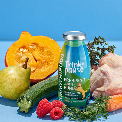 Smoothie Dog🐶Duck 8.5oz
