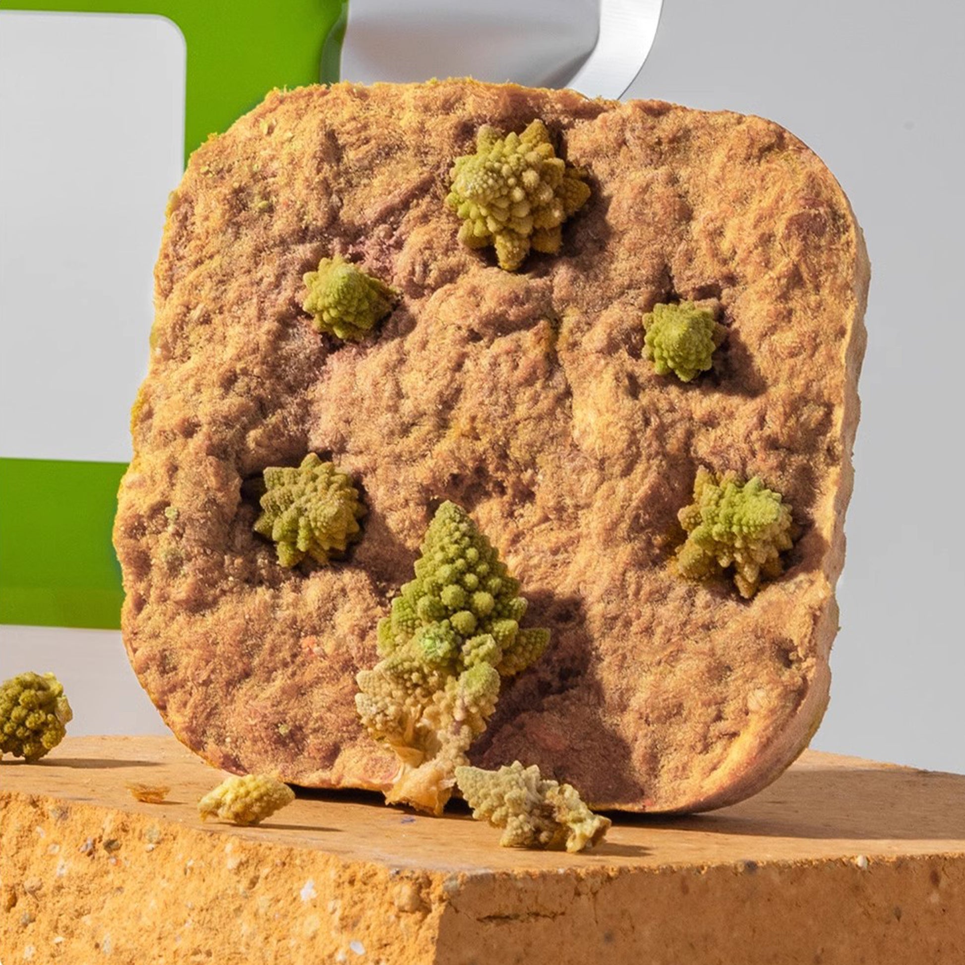 3M5🐱🐶Freeze Dried Scone Wagyu Beef & Romanesco 20g