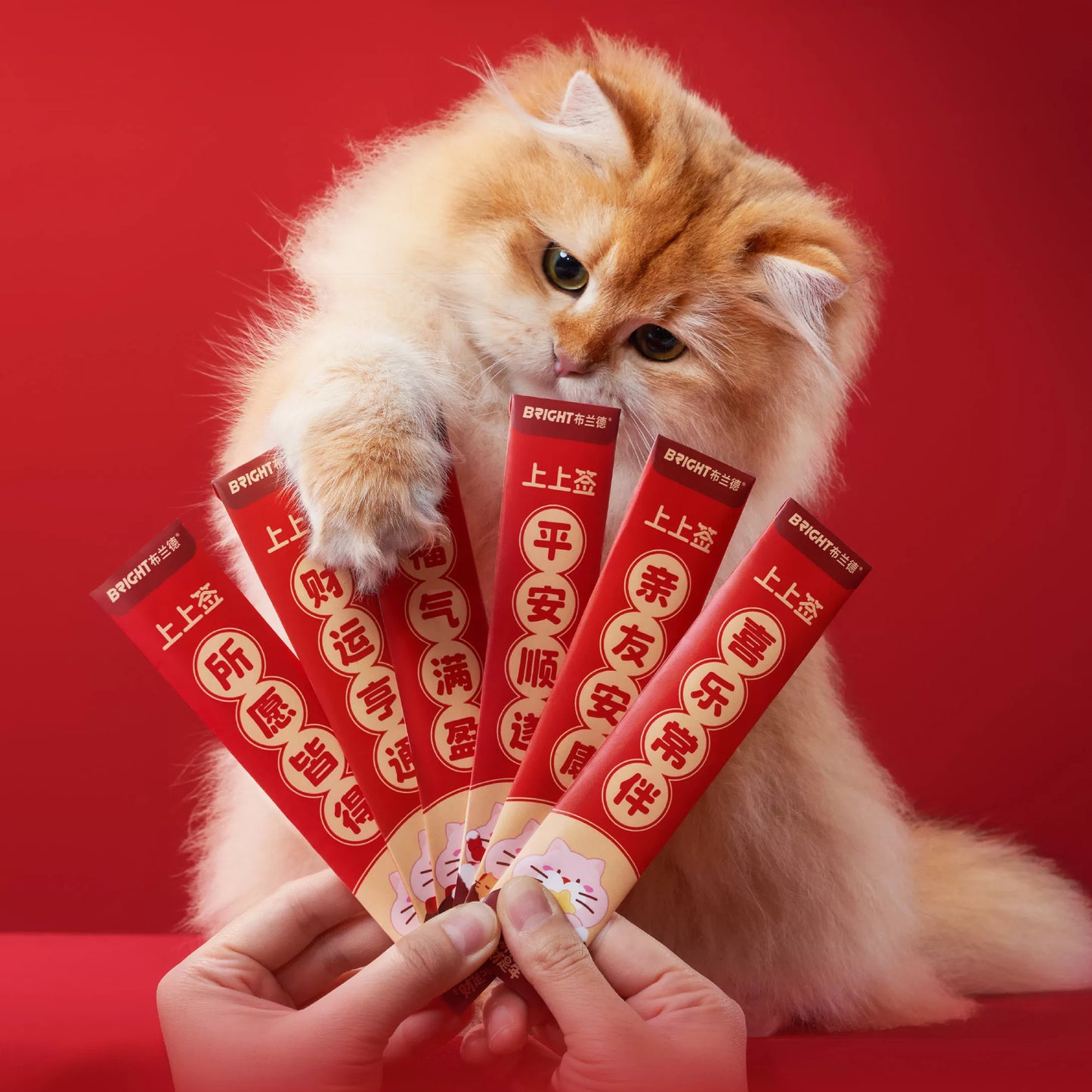 Bright🐱New Year “Rich Cat” Special Limited Collection Box