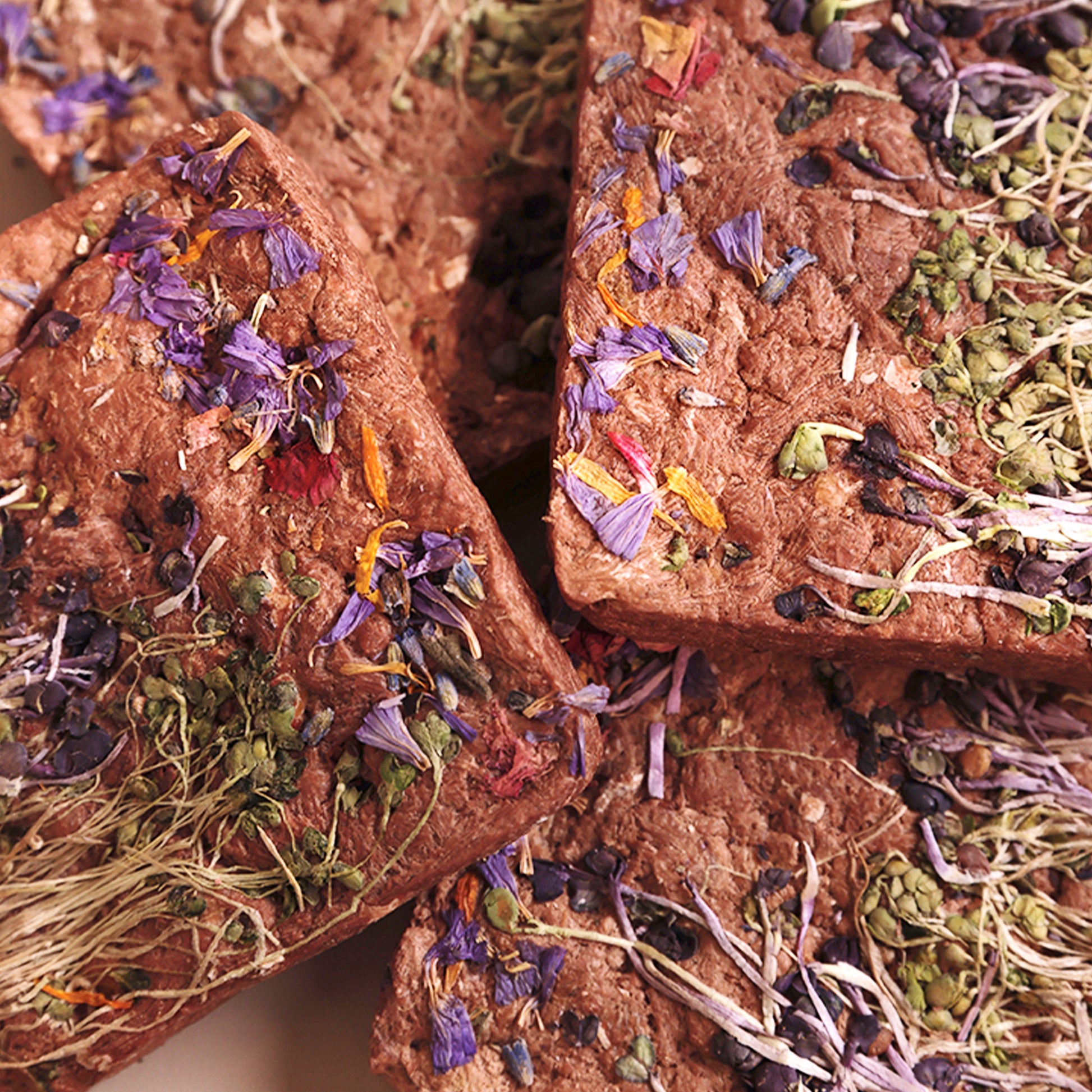 Fredy🐱🐶Freeze Dried Sprouts Horse Brick 1.25oz