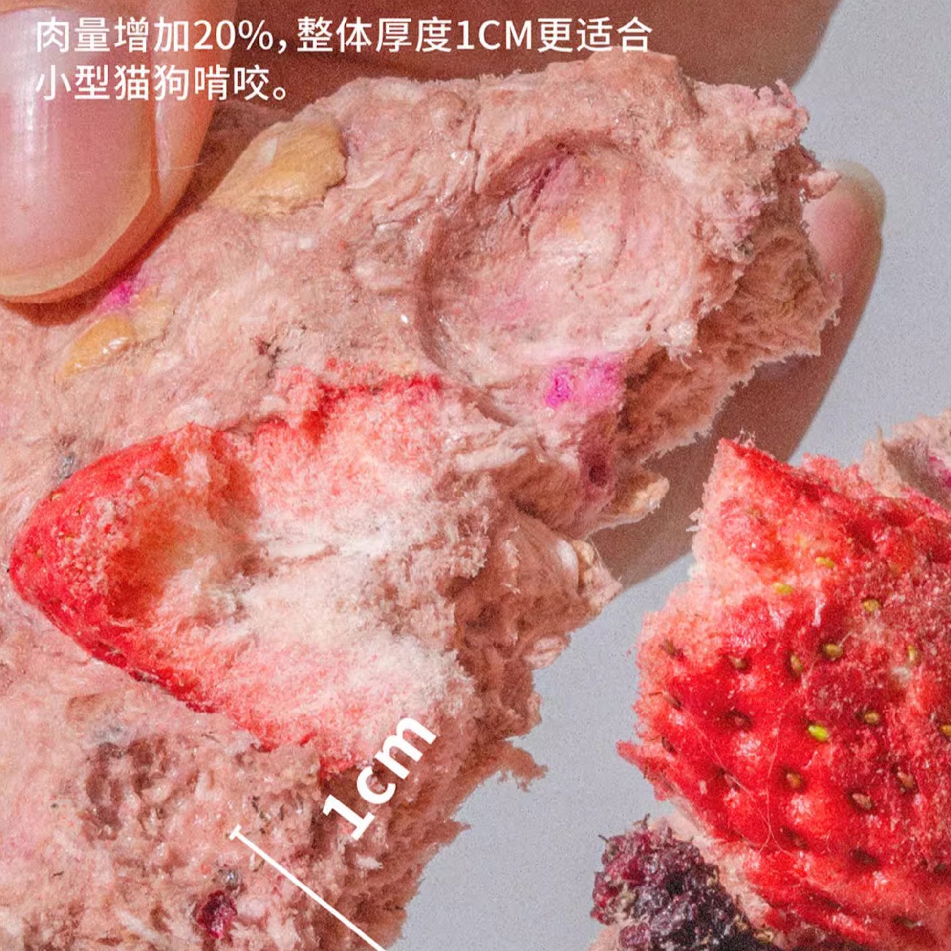 3M5🐱🐶Freeze Dried Scone Rabbit & Mixed Berry 24g