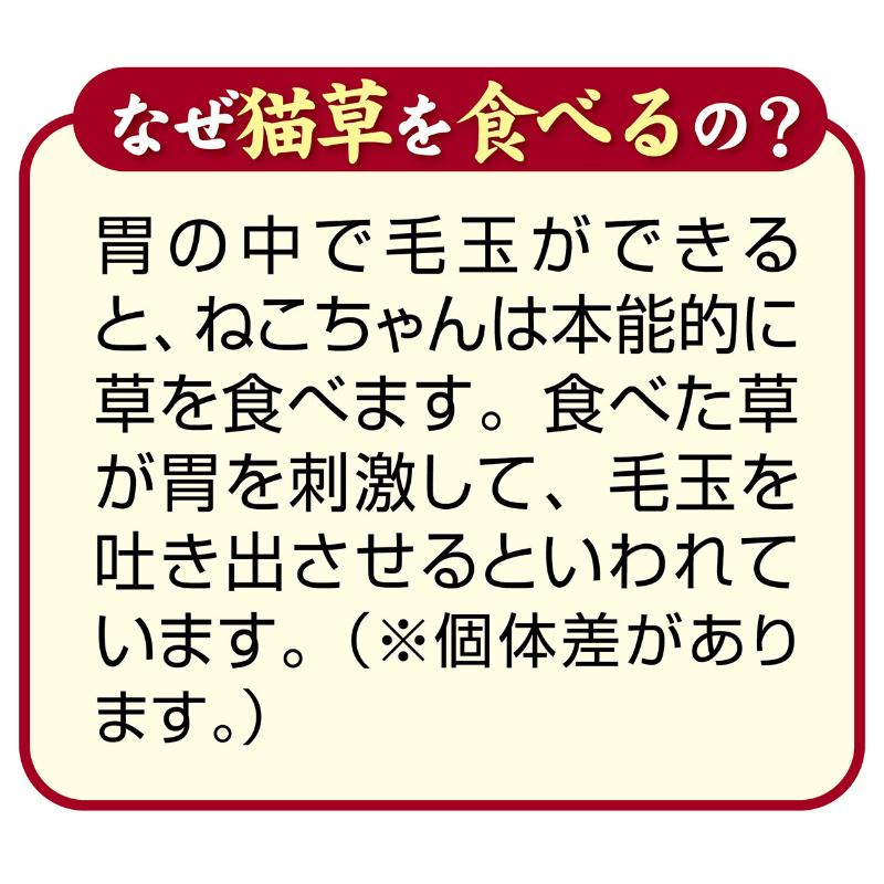 Petio🐱VitalHerb Hairball & Urinary Care Puree Churu 4pc