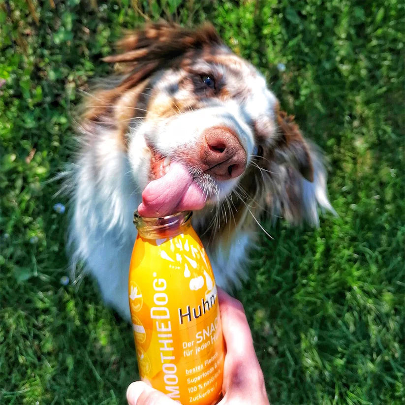 Smoothie Dog🐶Chicken 8.5oz