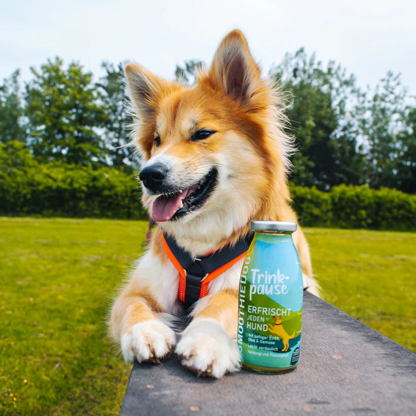 Smoothie Dog🐶Duck 8.5oz