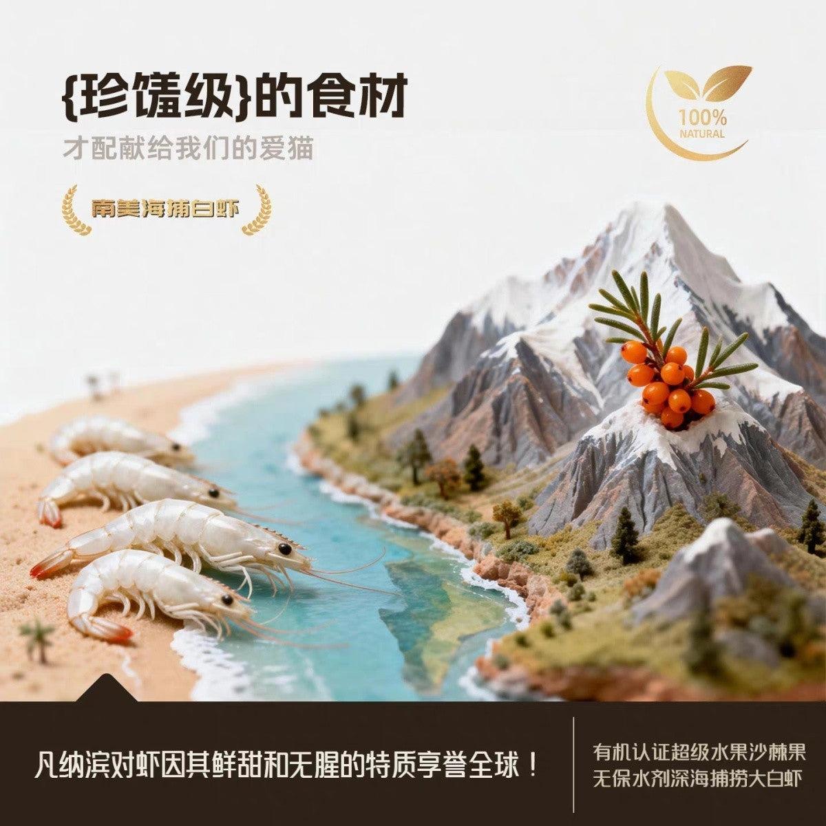 Toroopet🐱Freeze Dried Creamy Sea Buckthorn Seaweed & Golden Shrimp 25g