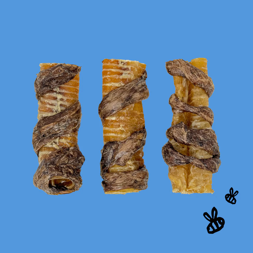 Honey I'm Home🐶Honey Coated Buffalo 6" Trachea Wheezy Wraps 3pk