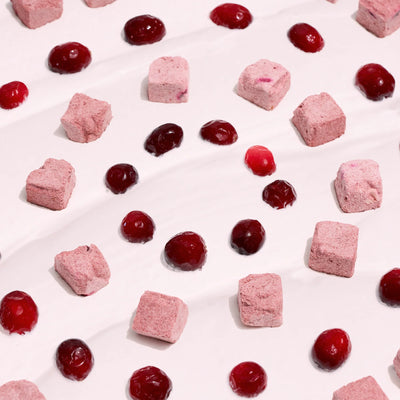 Wagging Bum🐱🐶Freeze Dried Cranberry Yogurt 2oz