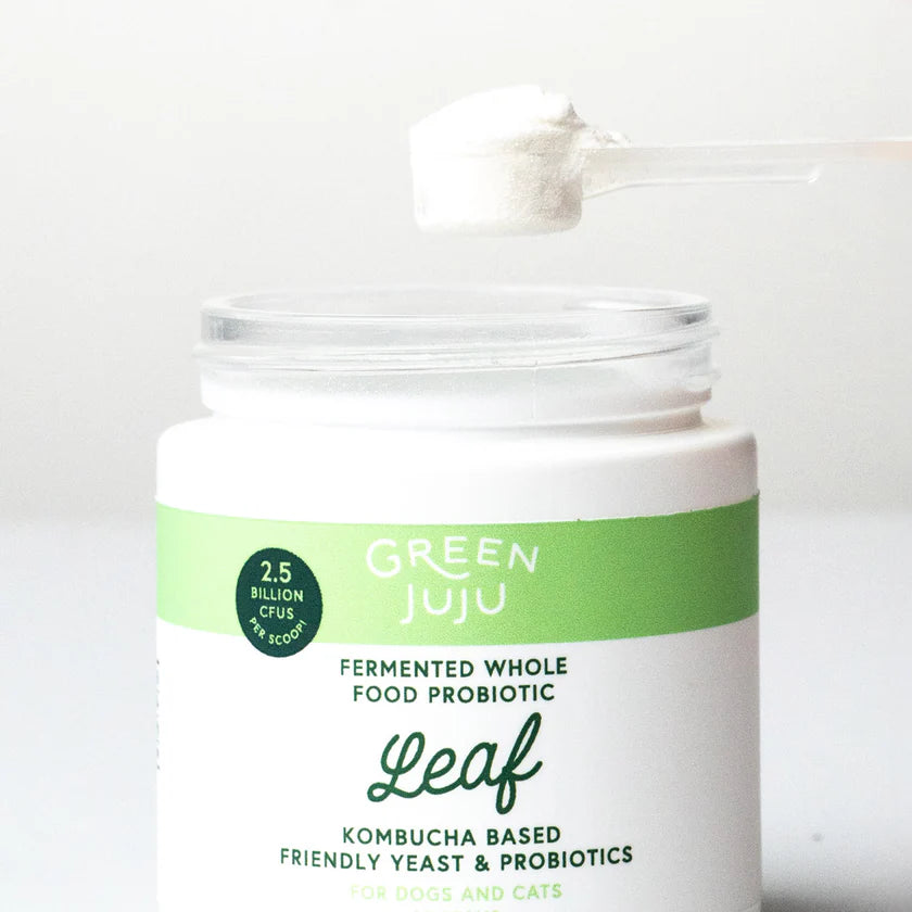 Green JuJu🐱🐶Leaf - Fermented, Kombucha-Based Probiotic 30g
