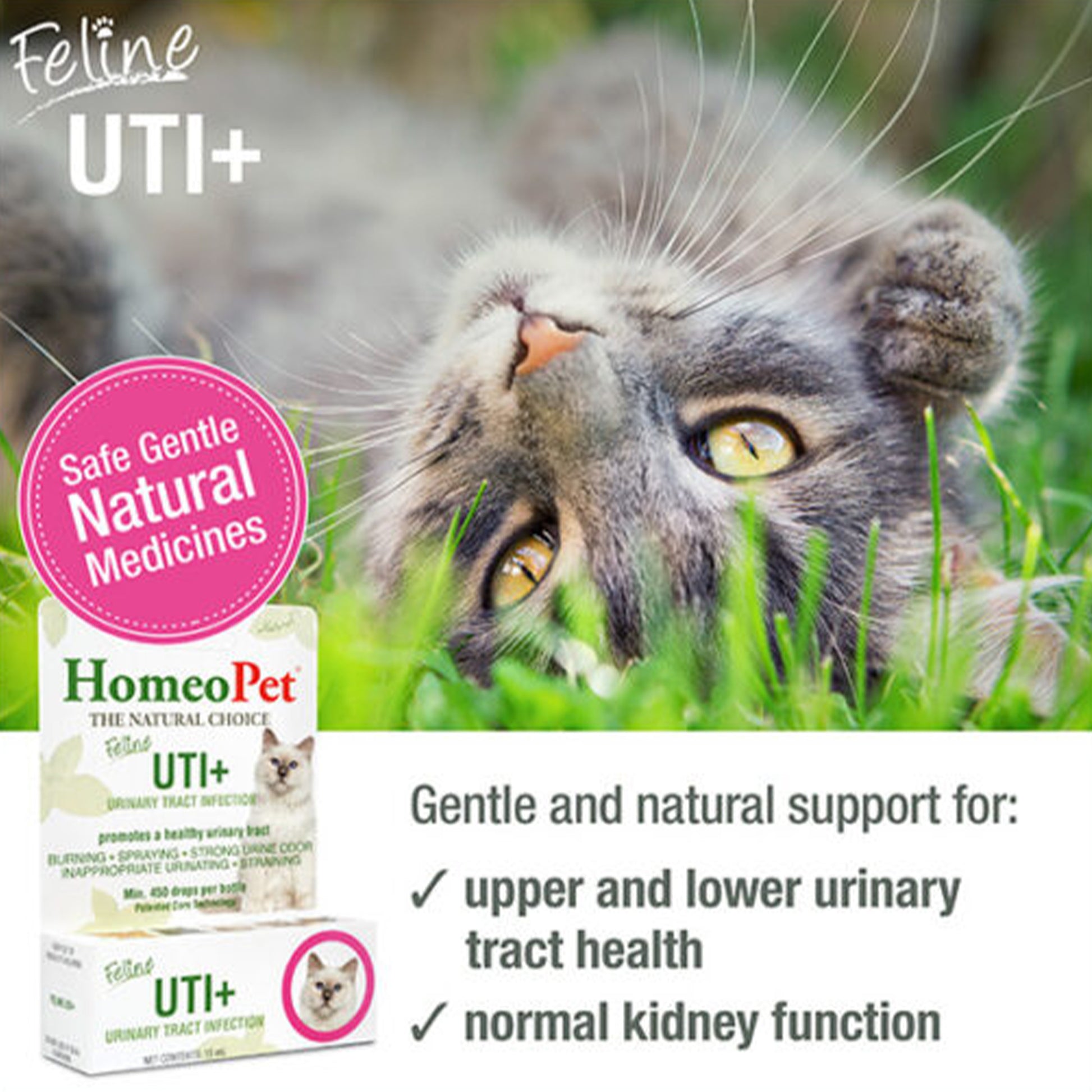 Homeo Pet🐱Feline UTI+ 1.1oz
