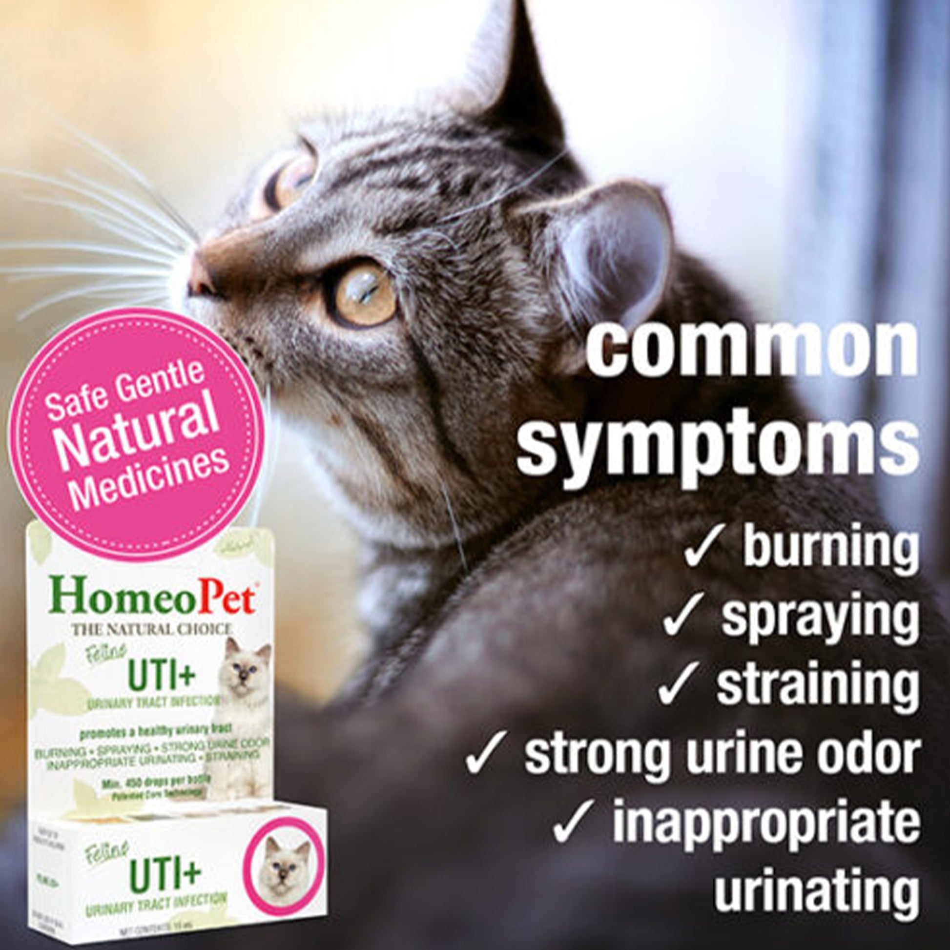 Homeo Pet🐱Feline UTI+ 1.1oz