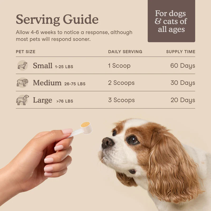 Fera Pets🐱🐶Liver Support 72g