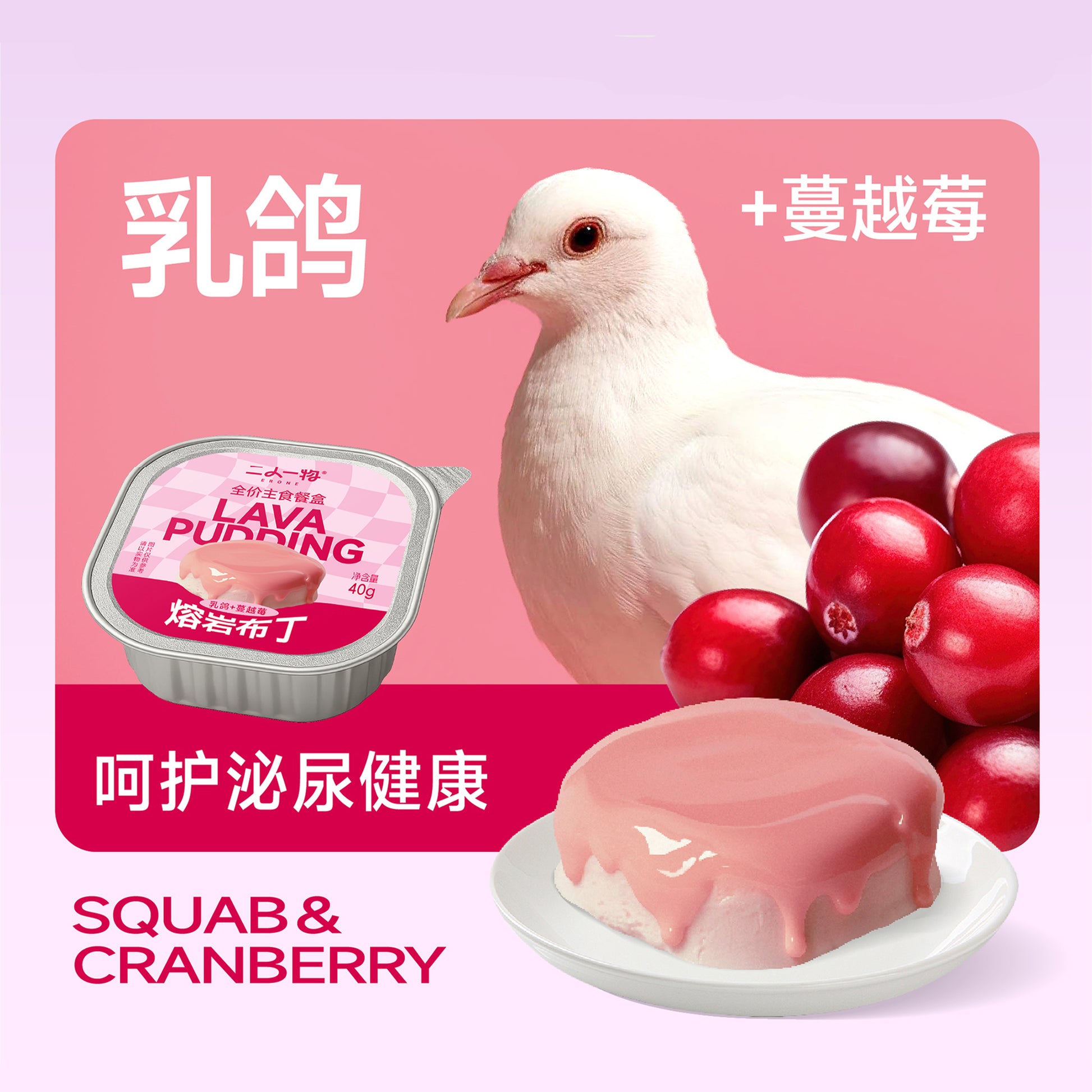 Erone🐱🐶Lava Pudding Complete Wet Food 40g