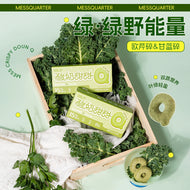 MessQuarter🐱🐶Freeze Dried Yogurt Donut Q 8pc