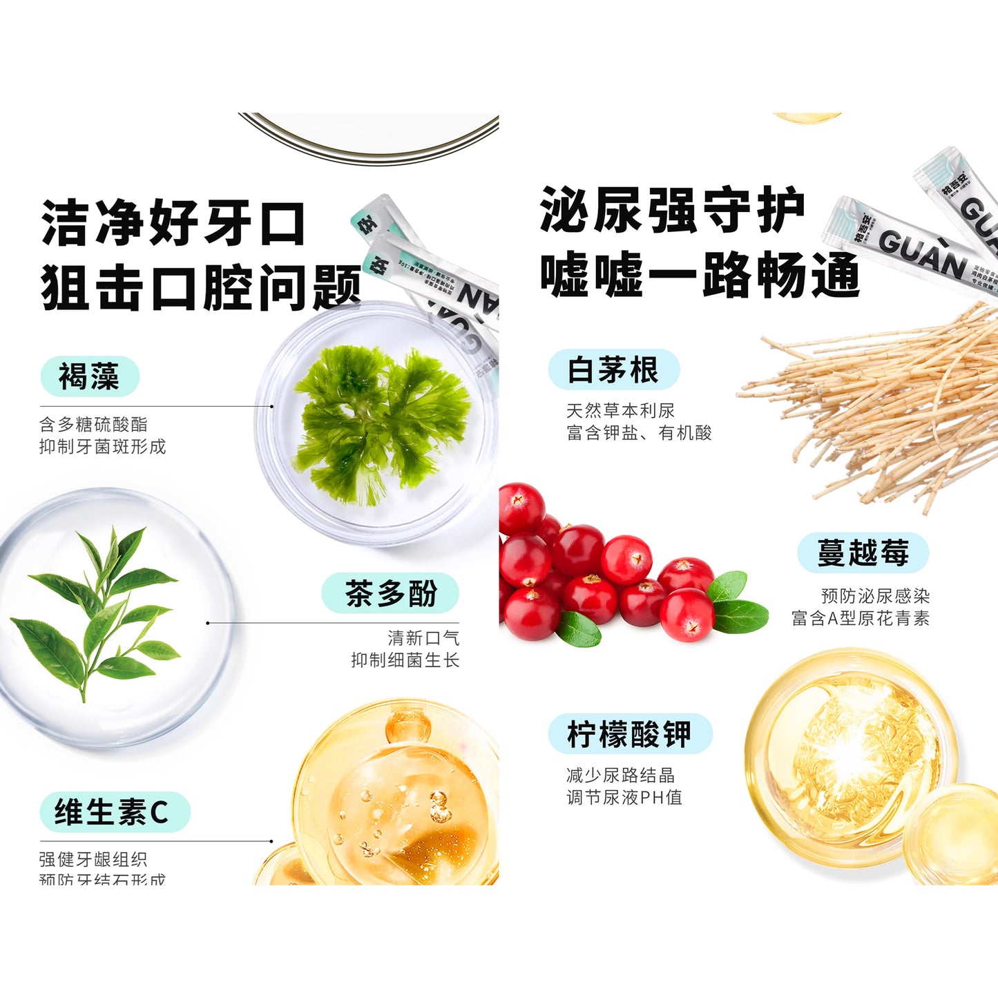 GUAN🐱Four-Function Mixed Puree Churu 10g*4