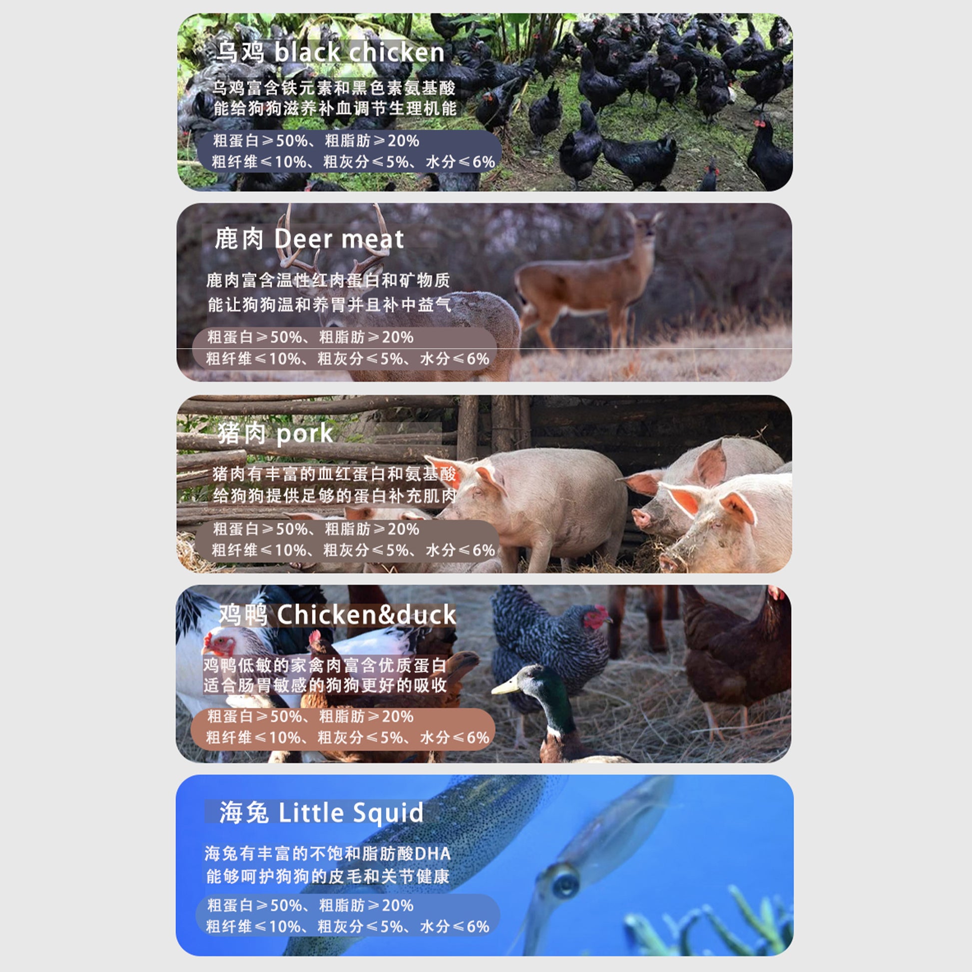 RawFlavr🐶Raw-Cut Freeze Dried Complete Barf