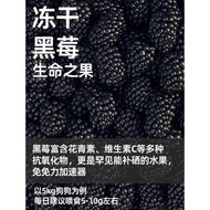 Marumi🐶Freeze Dried Fresh Black Berry 40g
