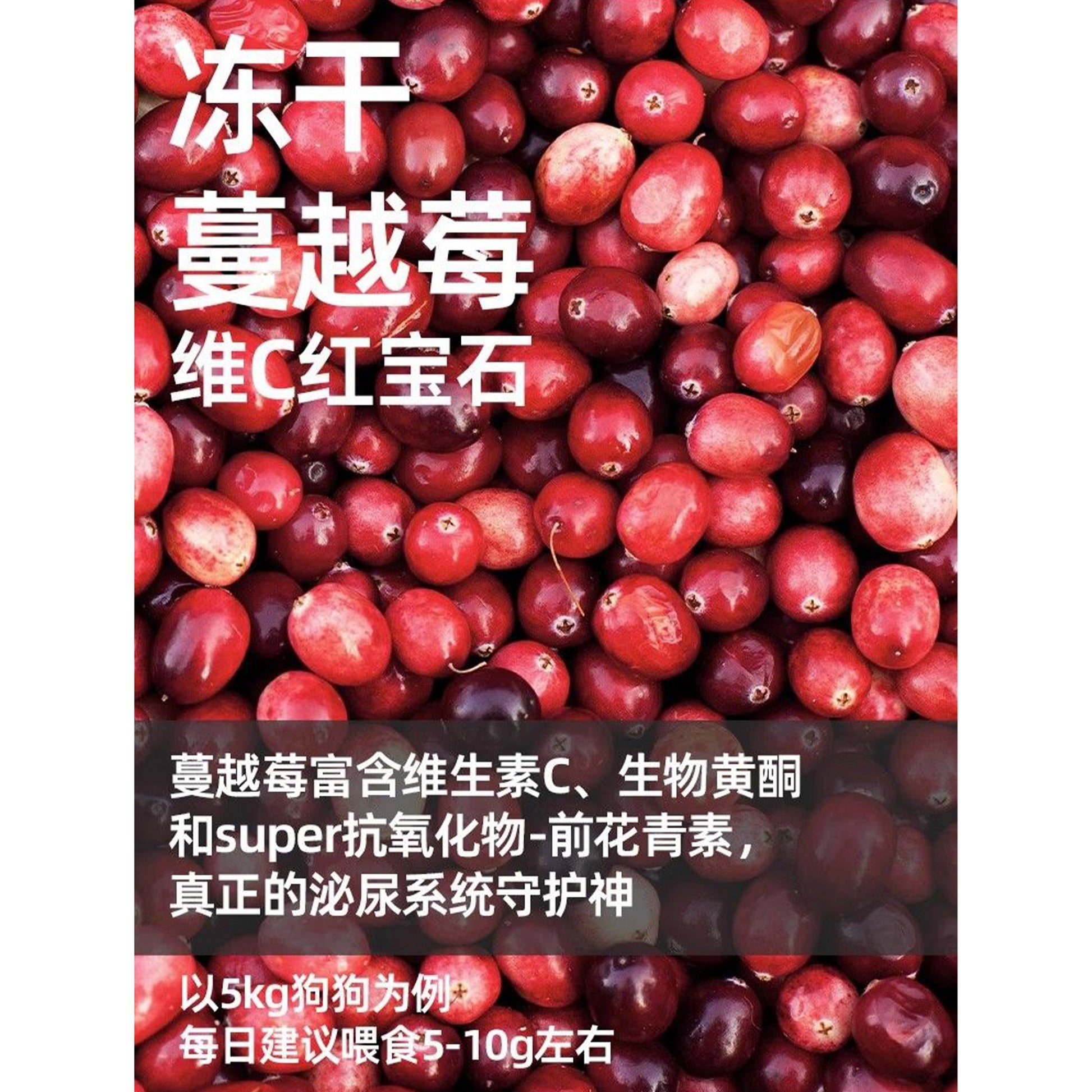 Marumi🐶Freeze Dried Fresh Cranberry 40g