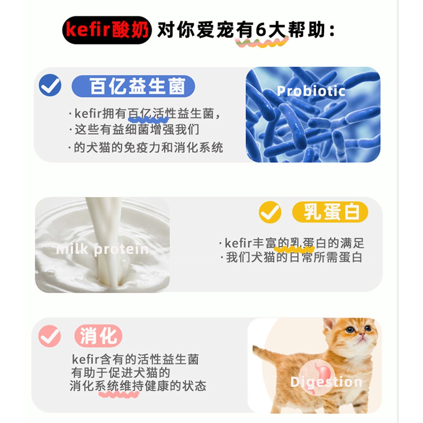 RawFlavr🐱🐶Probiotic Yogurt Kefir 50ml