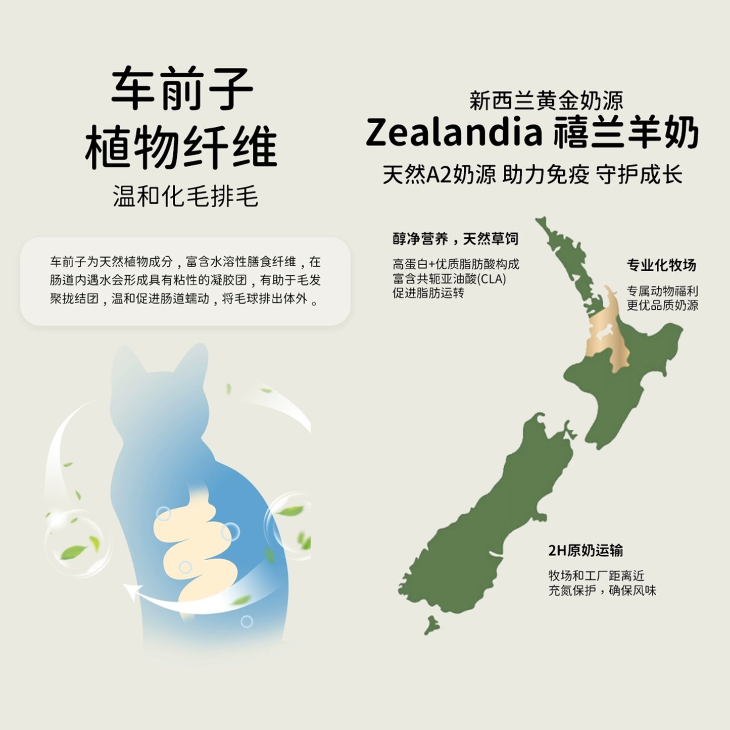 Warm Fancy🐱Complete & Balanced Functional Churu 14g*5