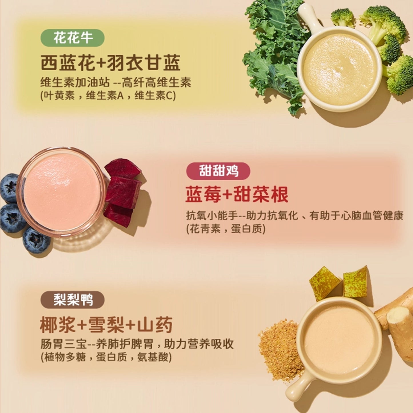 Warm Fancy🐶Natural Blend Dog Savory Thick Soup 65g