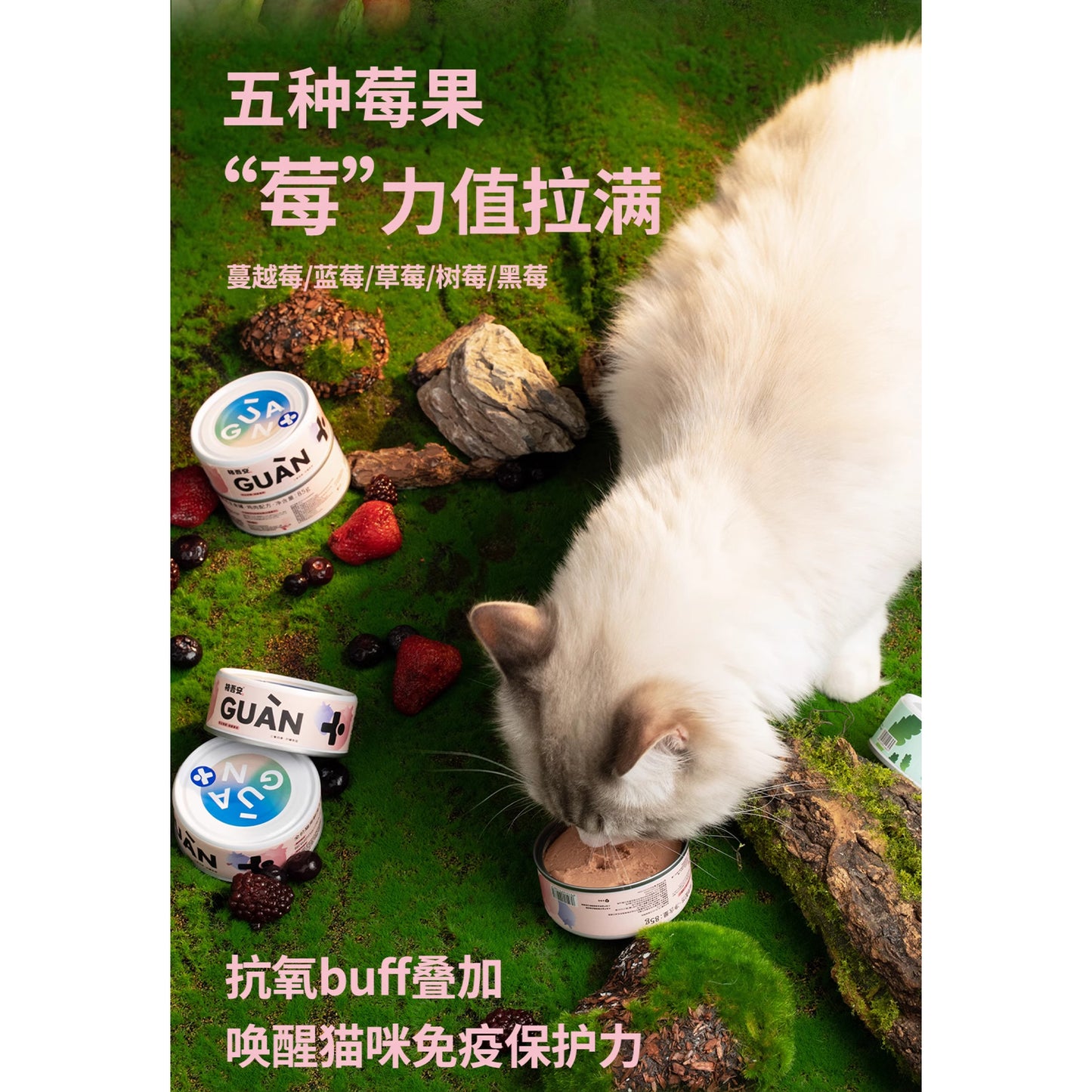 Guan🐱4 Season Complete Canned - Spring Chicken & Berry