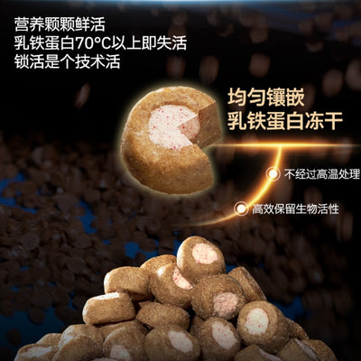 Guan🐱28 Days Miracle Boost Immune & Lactoferrin Core Dry Food 1.5kg