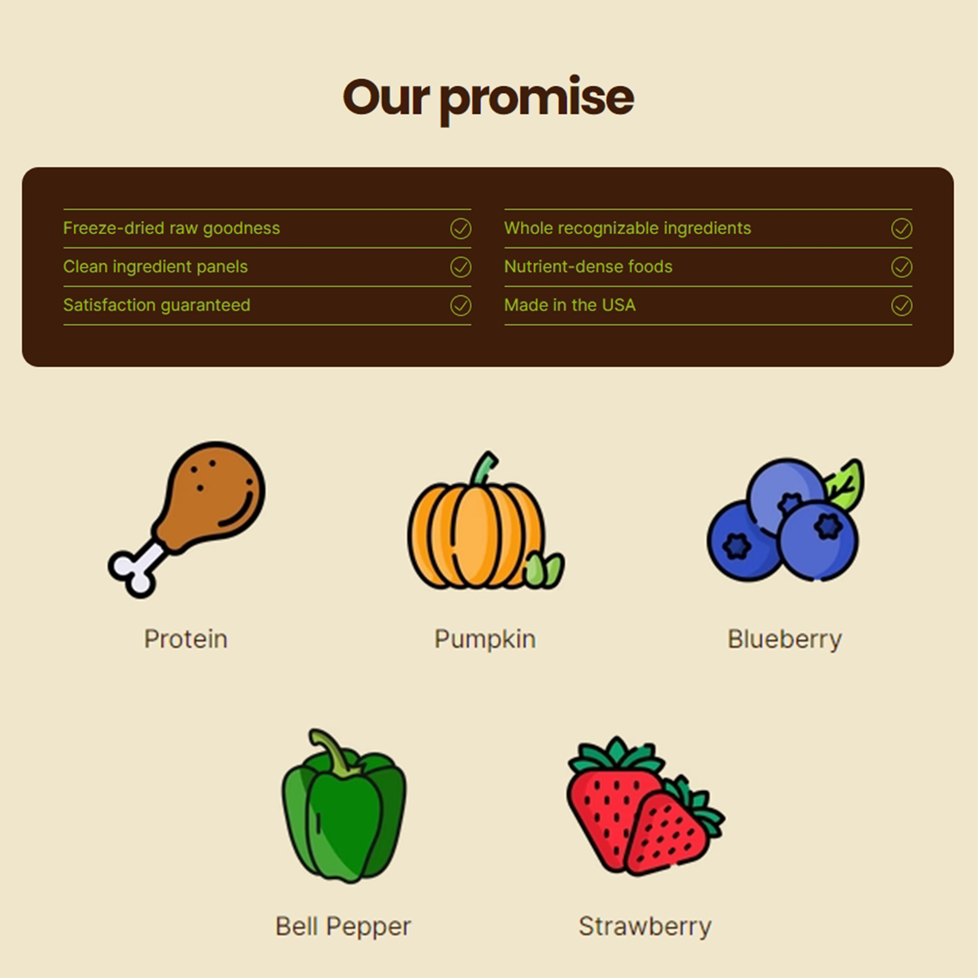 Bare Meal Mixer🐶Salmon Veggie & Fruit Mixer