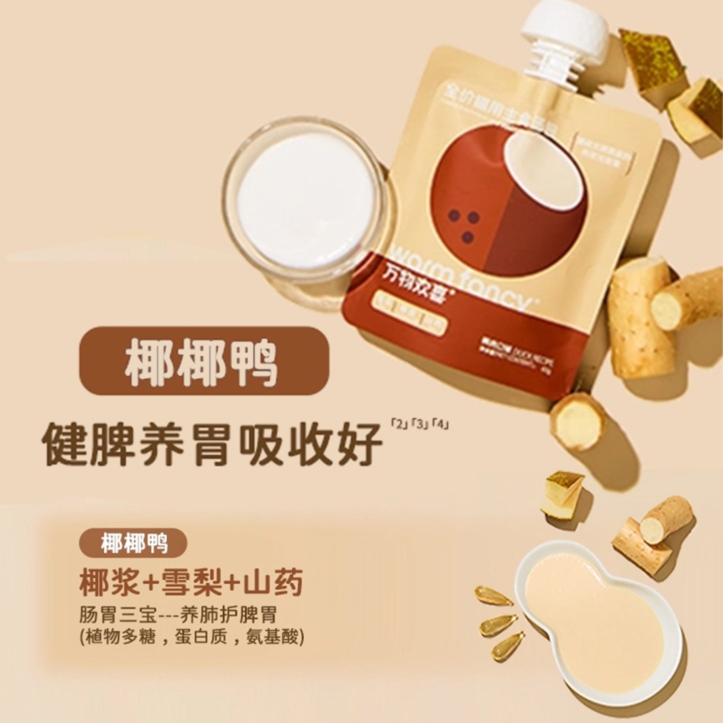 Warm Fancy🐱Natural Blend Cat Savory Thick Soup 65g