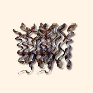 Purposeful Pup🐶Pork Pizzle Spiral 10Pk