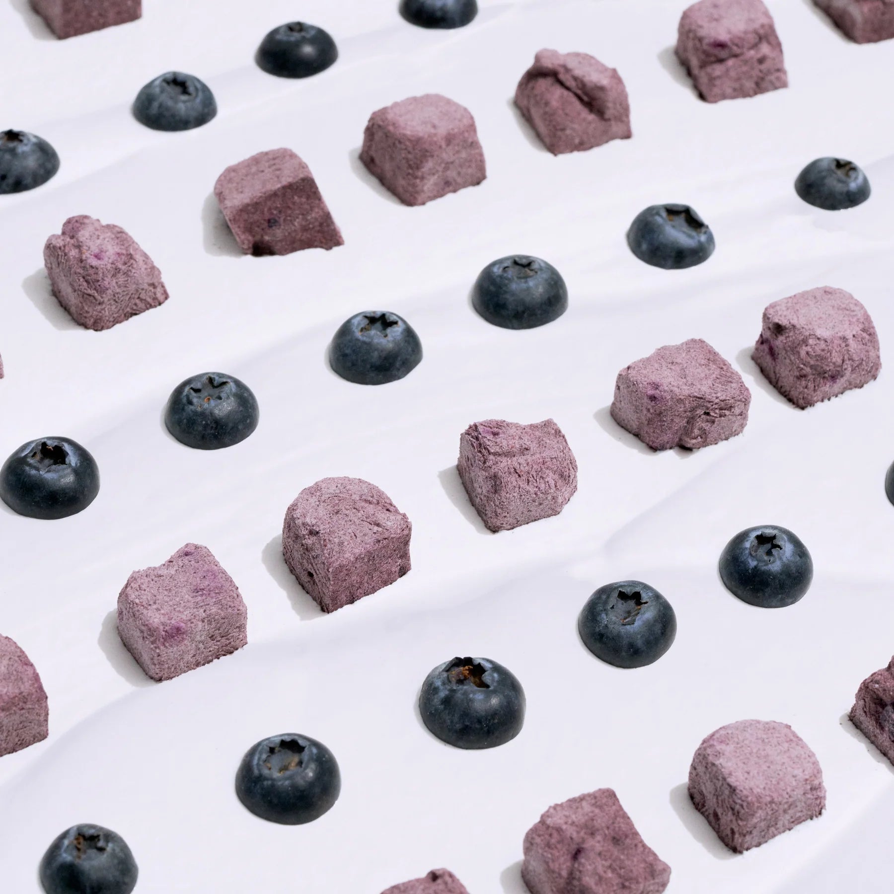 Wagging Bum🐱🐶Freeze Dried Blueberry Yogurt 2oz