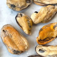 Gourmate🐱Freeze Dried Mini Green Lipped Mussels 0.88oz