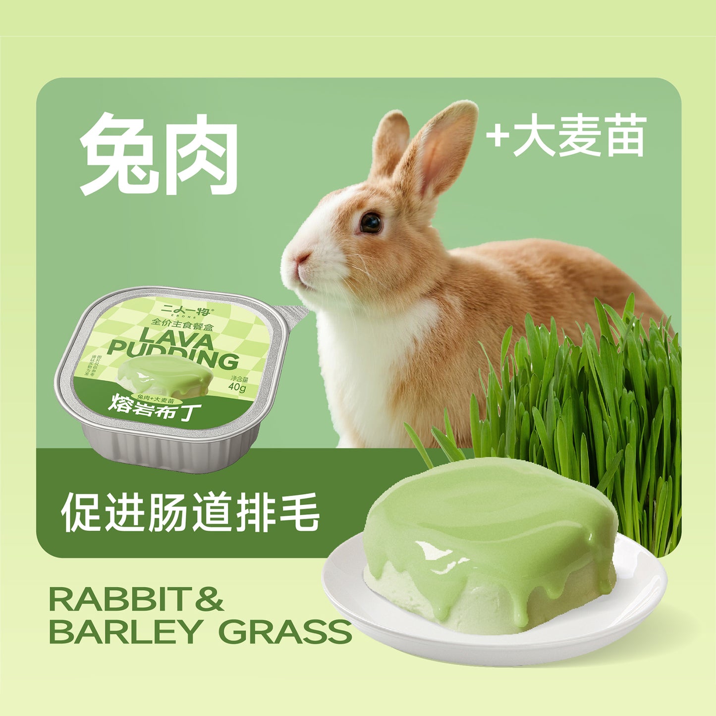 Erone🐱🐶Lava Pudding Complete Wet Food 40g