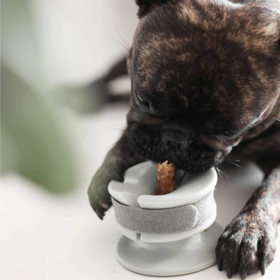 Lunoji🐱🐶Chewden Grip: Chew Holder Enrichment Tool - Sage Green