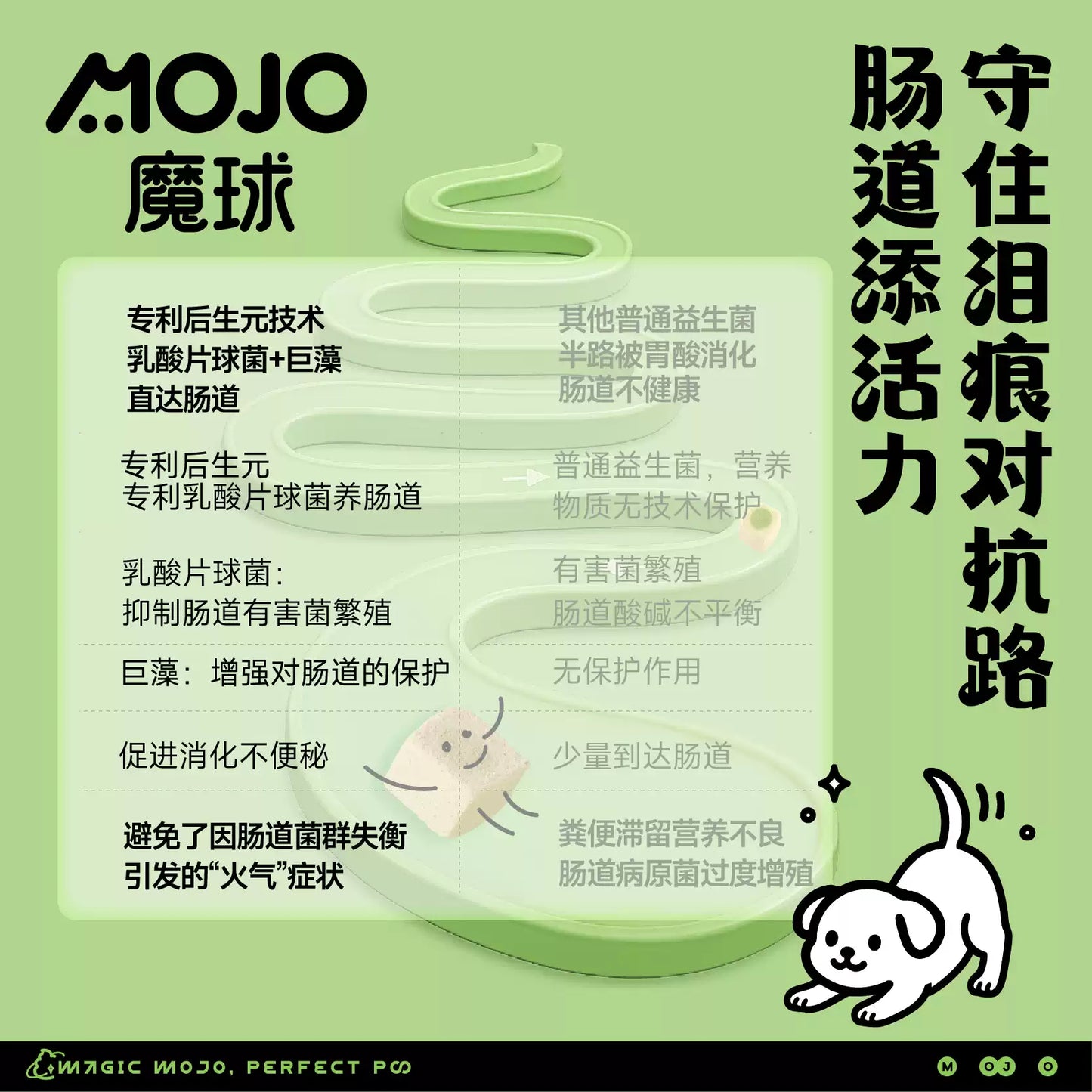 MOJO🐶Freeze Dried Complete Meal Duck & Pear 300g