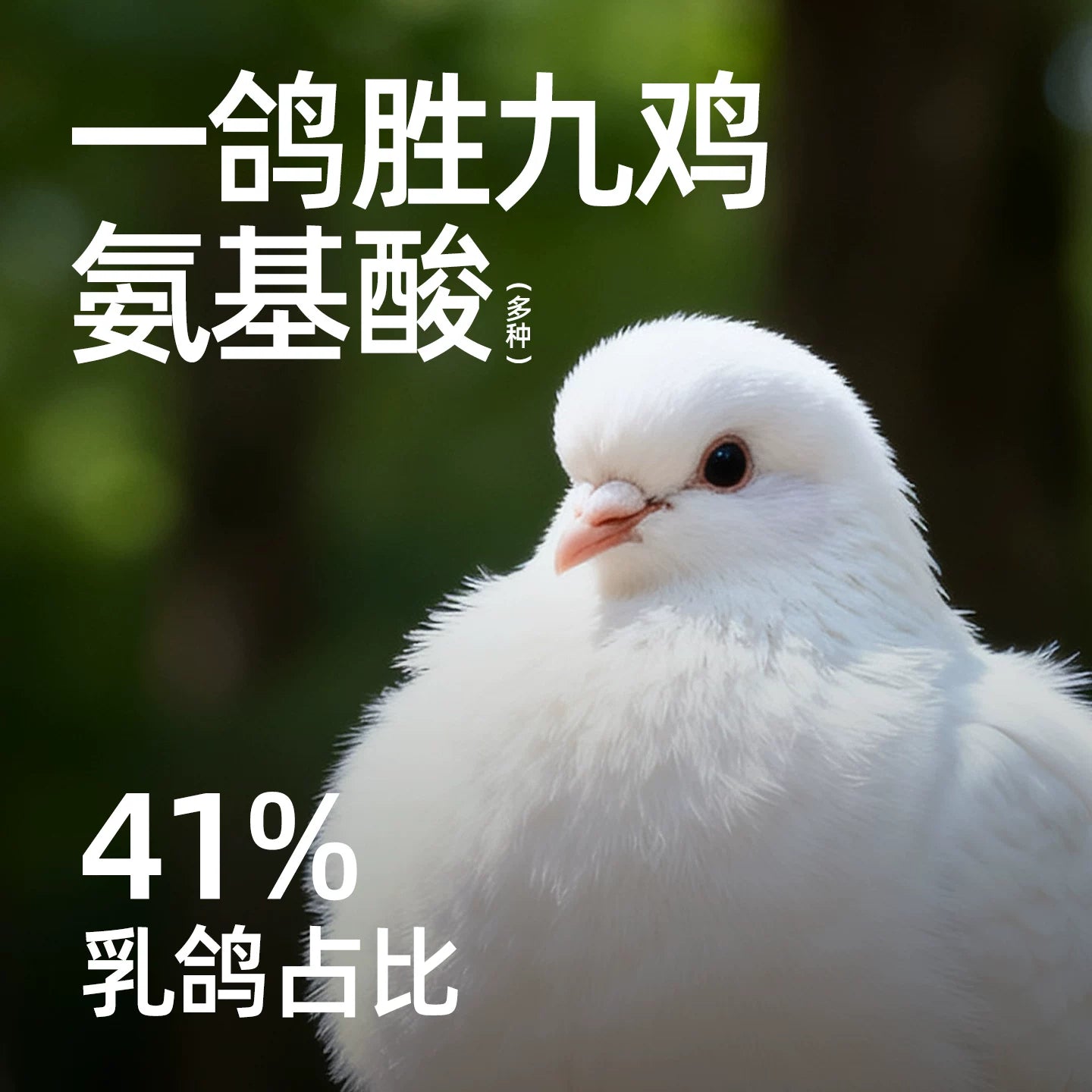 ZIIKY🐱Freeze Dried Complete Food Pigeon & Pumpkin 200g