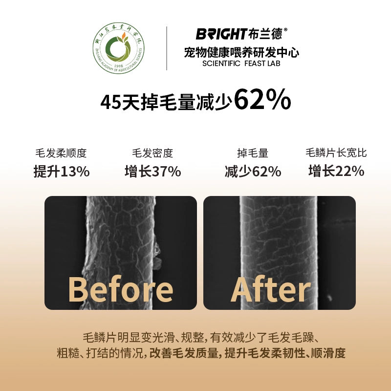 Bright🐱🐶99.8% High-Purity Fish Oil P+ Card 7pc