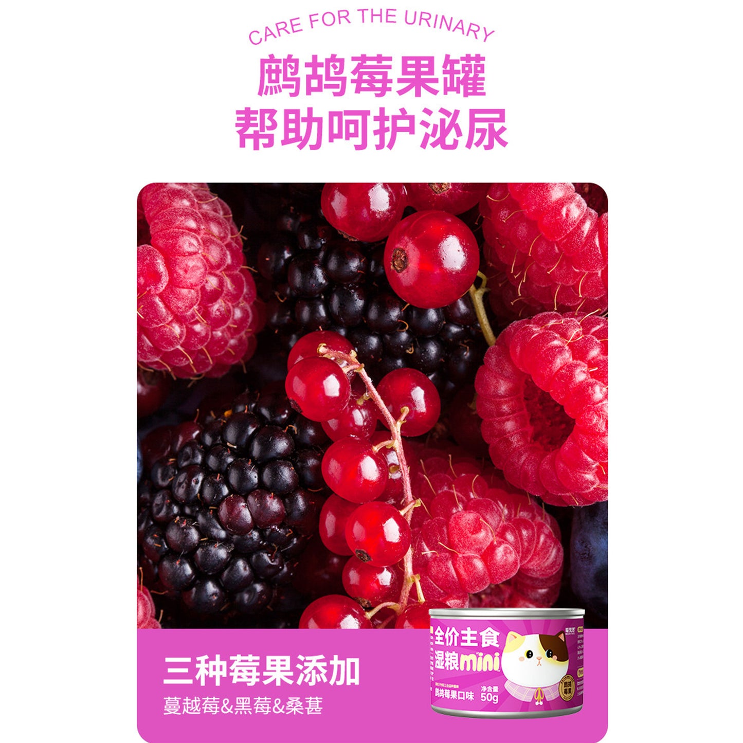 MeowFans🐱Mini Mousse Complete Wet Food 50g
