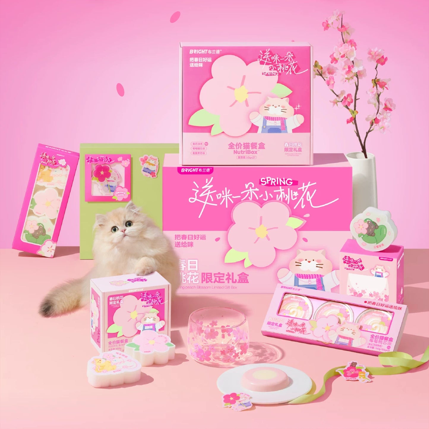 Bright🐱Spring Peach Blossom Special Limited Collection Box