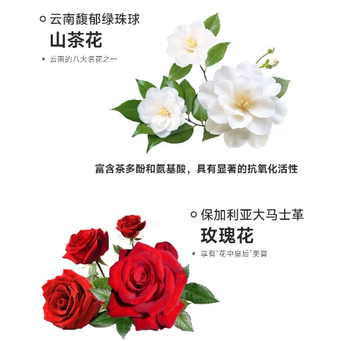 Yee🐱🐶Freeze Dried Functional & Tea Polyphenols “Flower Cake” 60g
