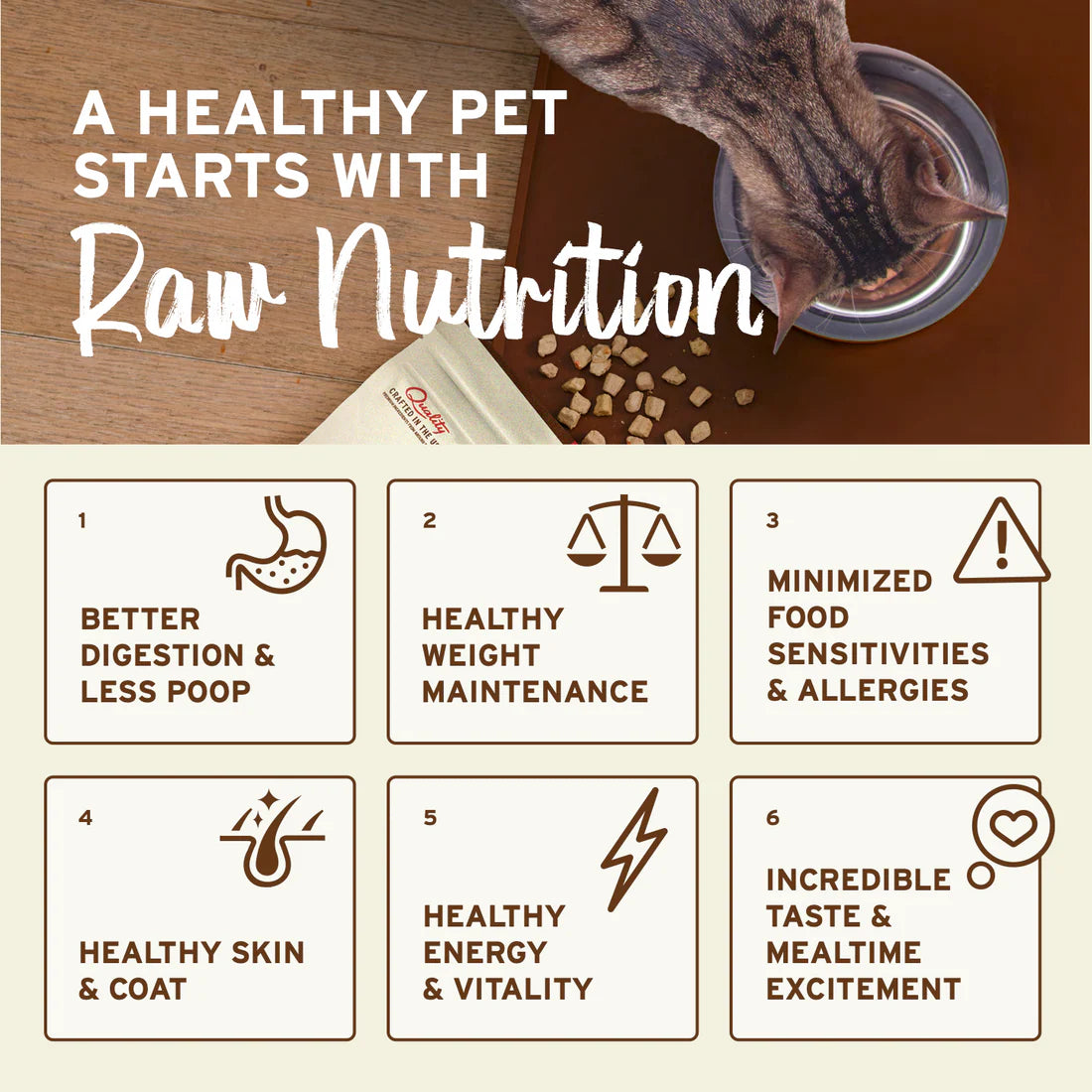 Primal🐱Freeze Dried Raw Nuggets Food 14oz