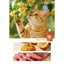 Radiopilot🐱Complete Recipe Fluffy Cloud Lactoferrin Purée 100g