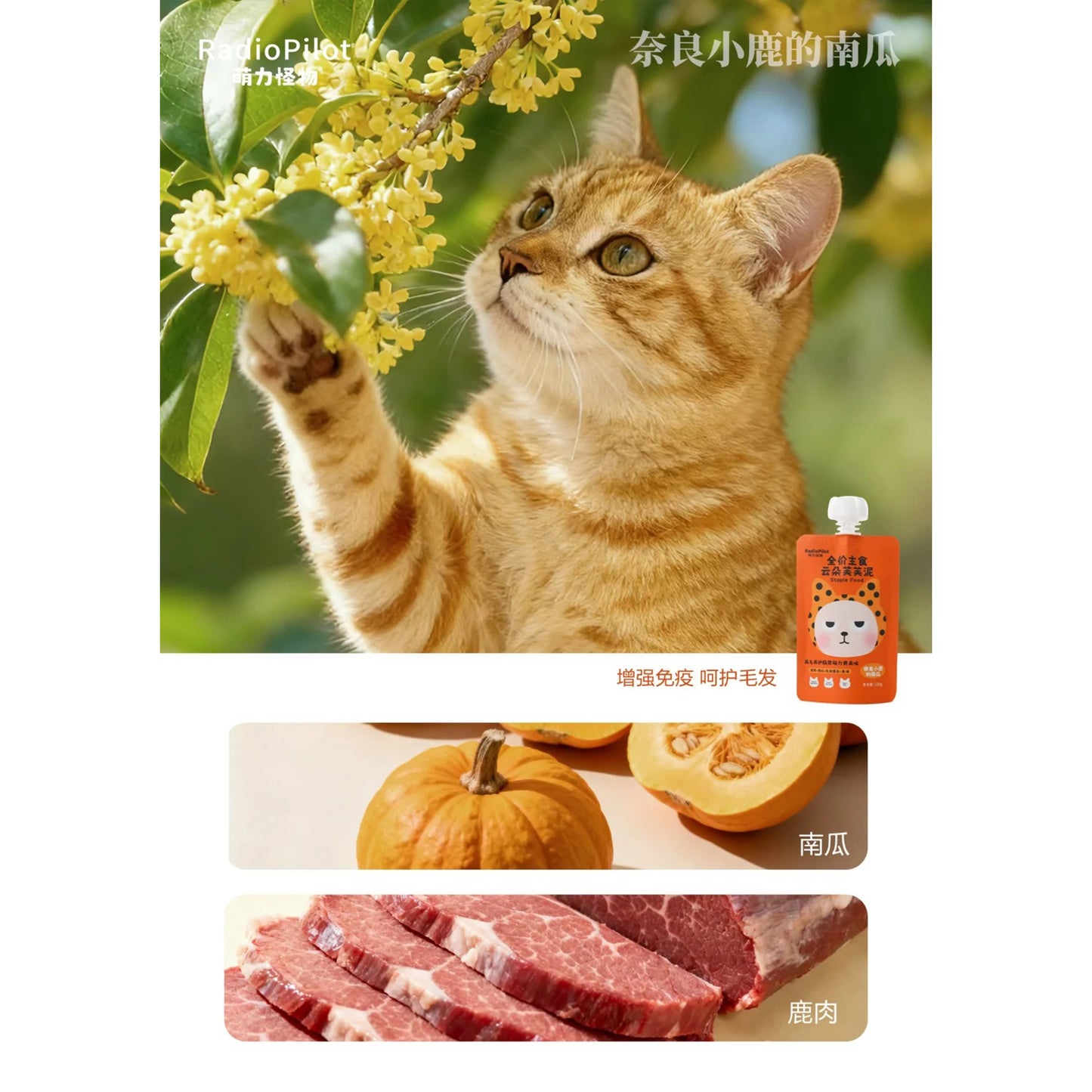 Radiopilot🐱Complete Recipe Fluffy Cloud Lactoferrin Purée 100g