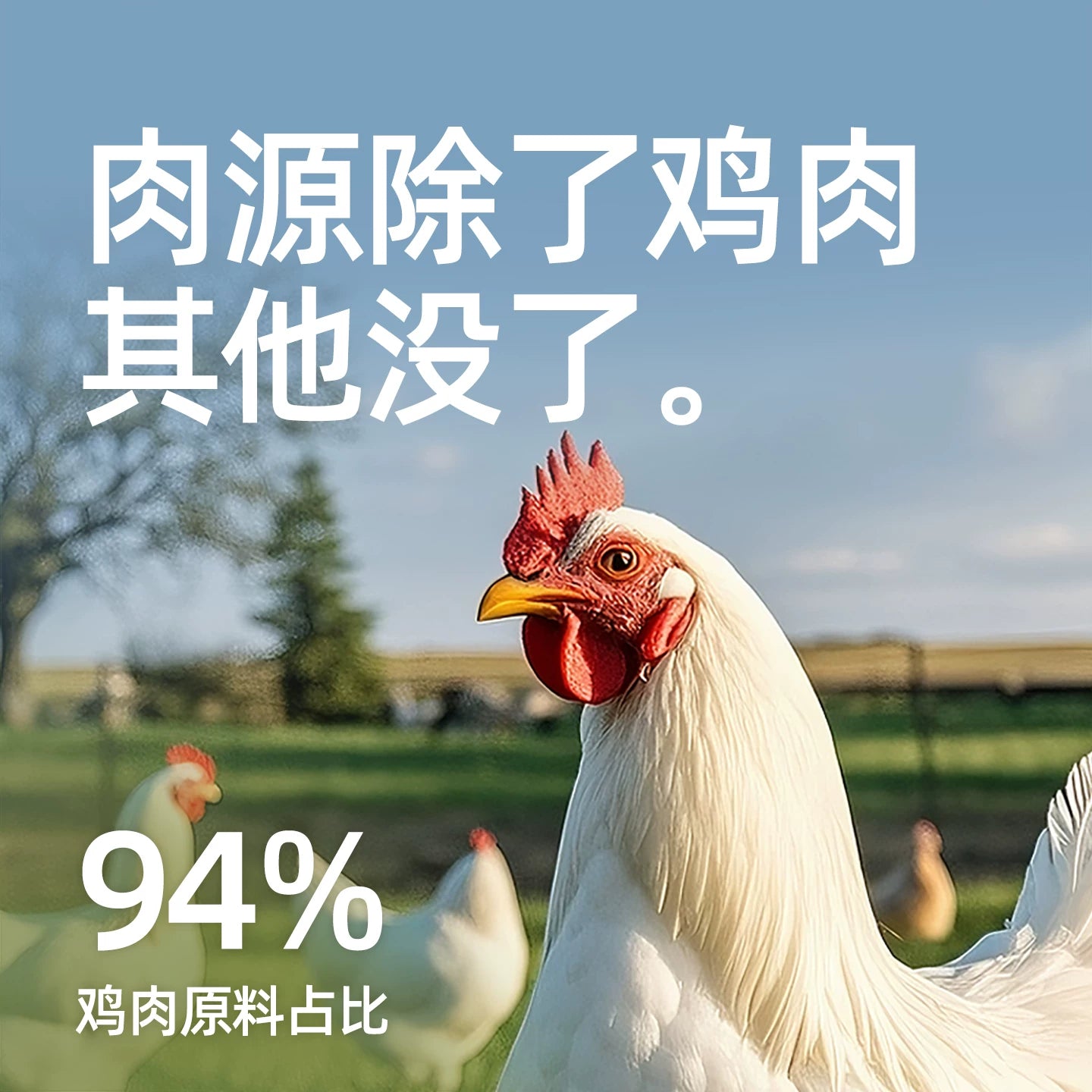 ZIIKY🐱Freeze Dried Complete Food Chicken & Avocado 200g