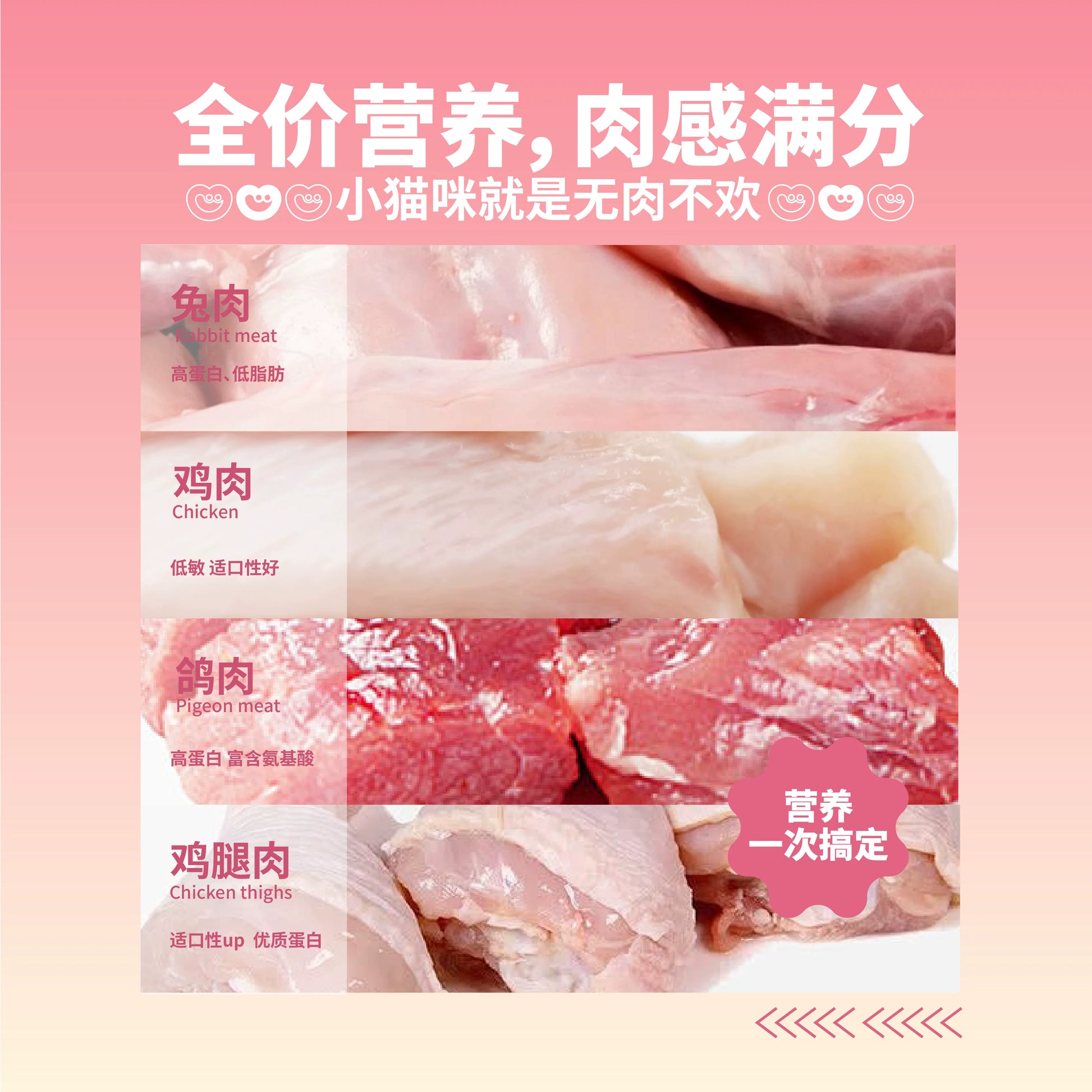 Gevel Pets🐱Complete Meal Mousse Wet Pouch 80g